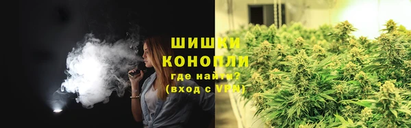 мяу мяу мука Гусиноозёрск
