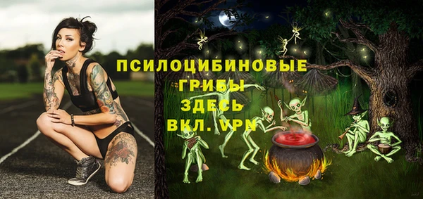 мяу мяу мука Гусиноозёрск