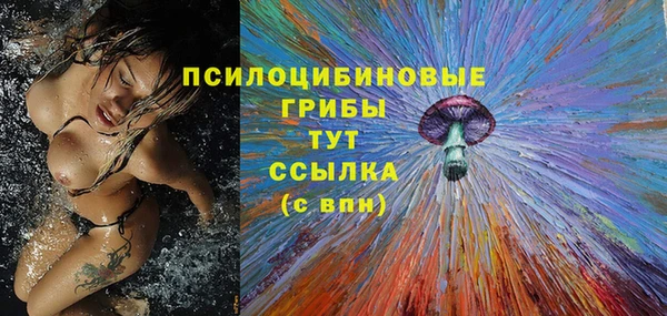 не бодяженный Гусев