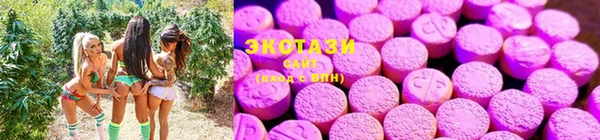 мяу мяу мука Гусиноозёрск