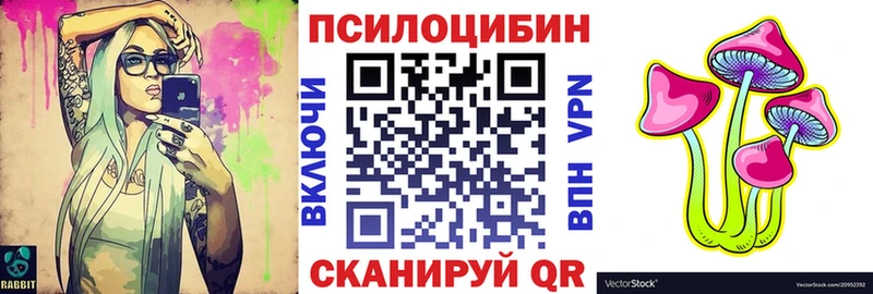 цена наркотик  Медногорск  Галлюциногенные грибы Psilocybe 